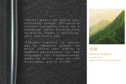 Namiki AYA Tokiwa Evergreen Vulpen -Pennen Verkoop Namiki Aya Evergreen 3