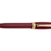 Aurora Ipsilon Resin Burgundy Balpen
